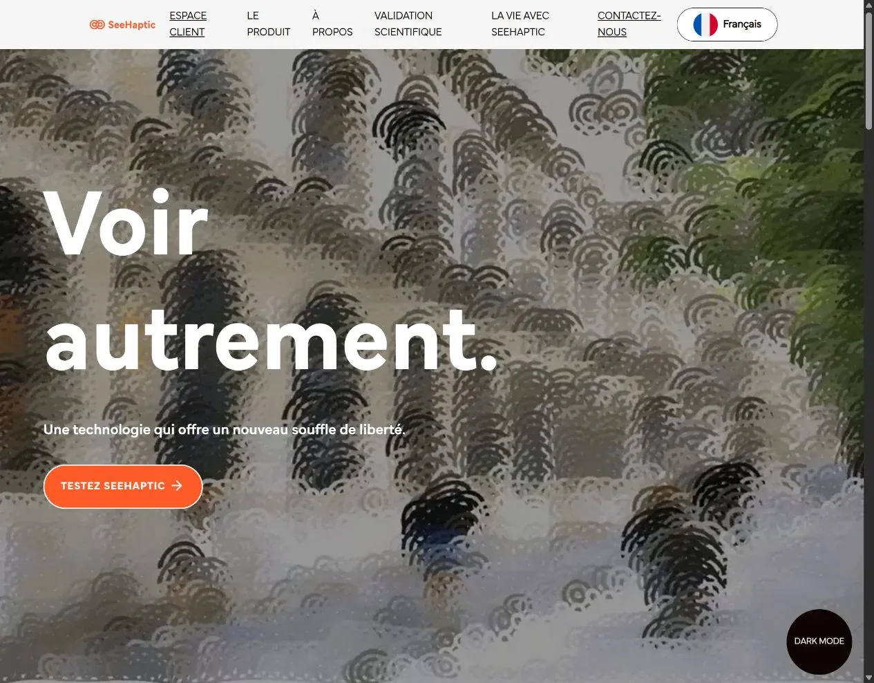 Le site SeeHaptic sur ordinateur.