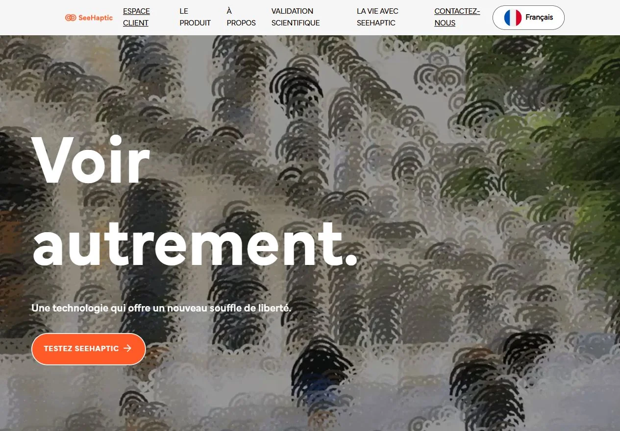 Capture réelle de l’accueil du site SeeHaptic sur ordinateur.